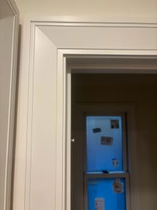 IMG 1520